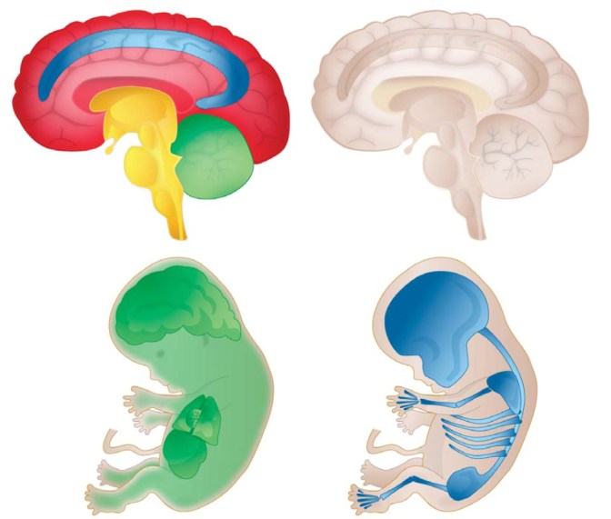 MCB_PORTFOLIO_2013.indd