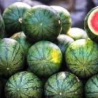 I’m the good guy here